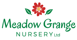 Meadow Grange Nursery, Garden Centre near Herne Bay and Canterbury
