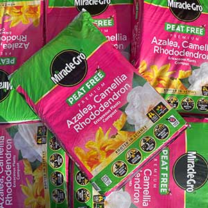 MIRACLE-GRO ERICACEOUS 