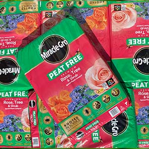 MIRACLE-GRO ROSE TREE SHRUB