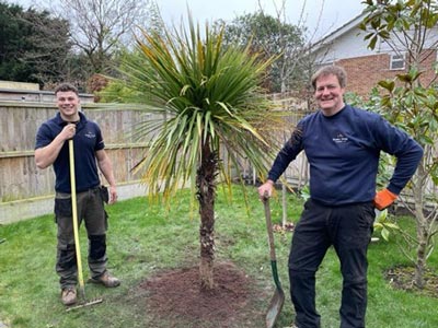Luke & Jason planting a cordyline for a customer in Whitstable