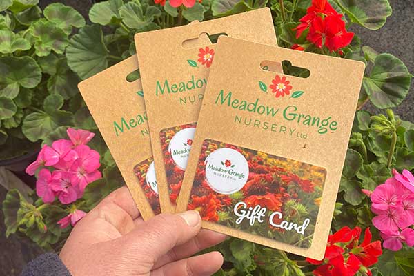 Garden Centre Gift Cards to use in Kent