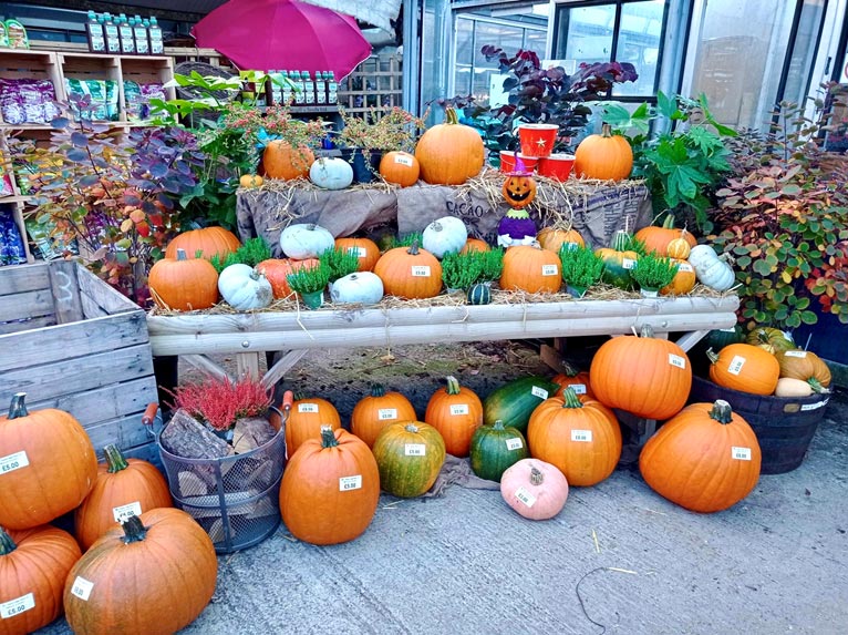 pumpkins and spooky-dorky bits and pieces in stock at Meadow Grange near Canterbury