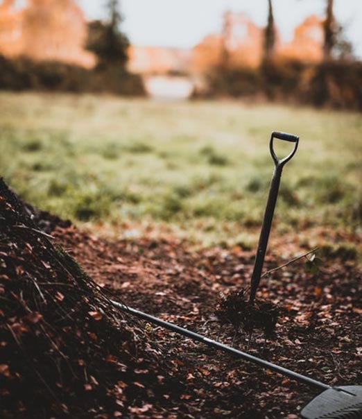 Peter’s Top Tips for Your Autumn Garden