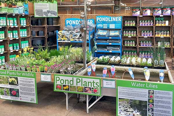 Garden furniture and tools near Canterbury