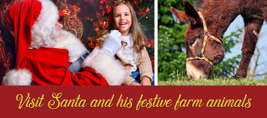 festive farm animals will be back at Meadow Grange for Christmas