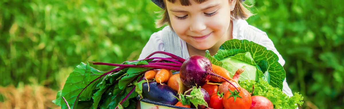 Gardening Jobs for August from Meadow Grange Nursery