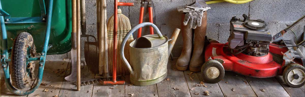 Gardening Jobs for November from Meadow Grange Nursery