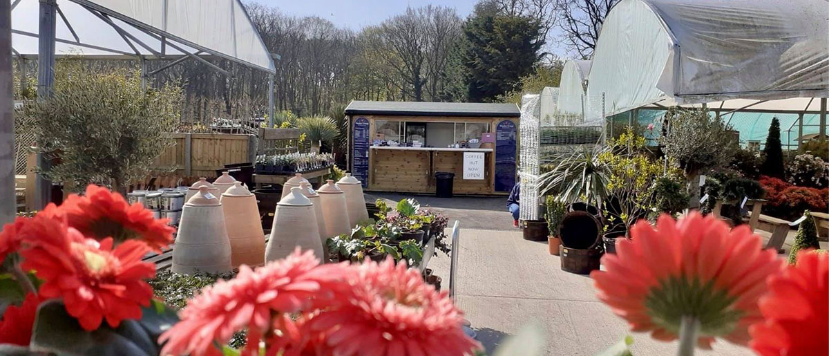 Garden Centre with Cafe near Canterbury and Whitstable