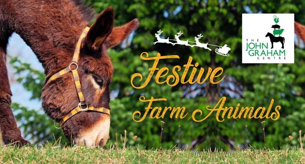 Festive Farm Animals