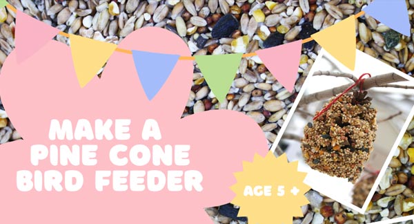 Make a Pine Cone Bird Feeder - Kids activities for February half term 2026