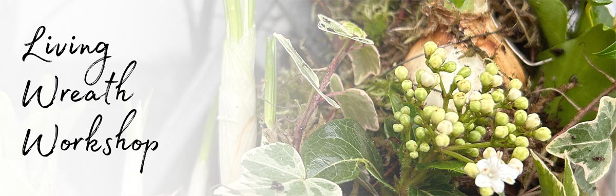 Our Spring living wreath making workshops are designed for the complete novice and also those who have some experience. You will spend a relaxed 2 hours learning how to make a contemporary Spring living wreath to adorn your door. 